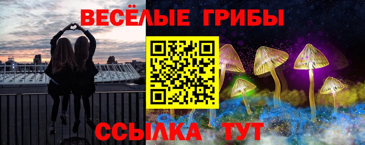 Галлюциногенные грибы GOLDEN TEACHER Южно-Сахалинск